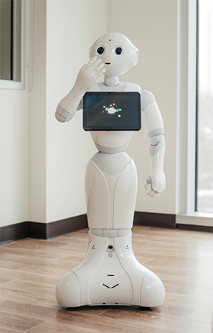 Robot Compagnon