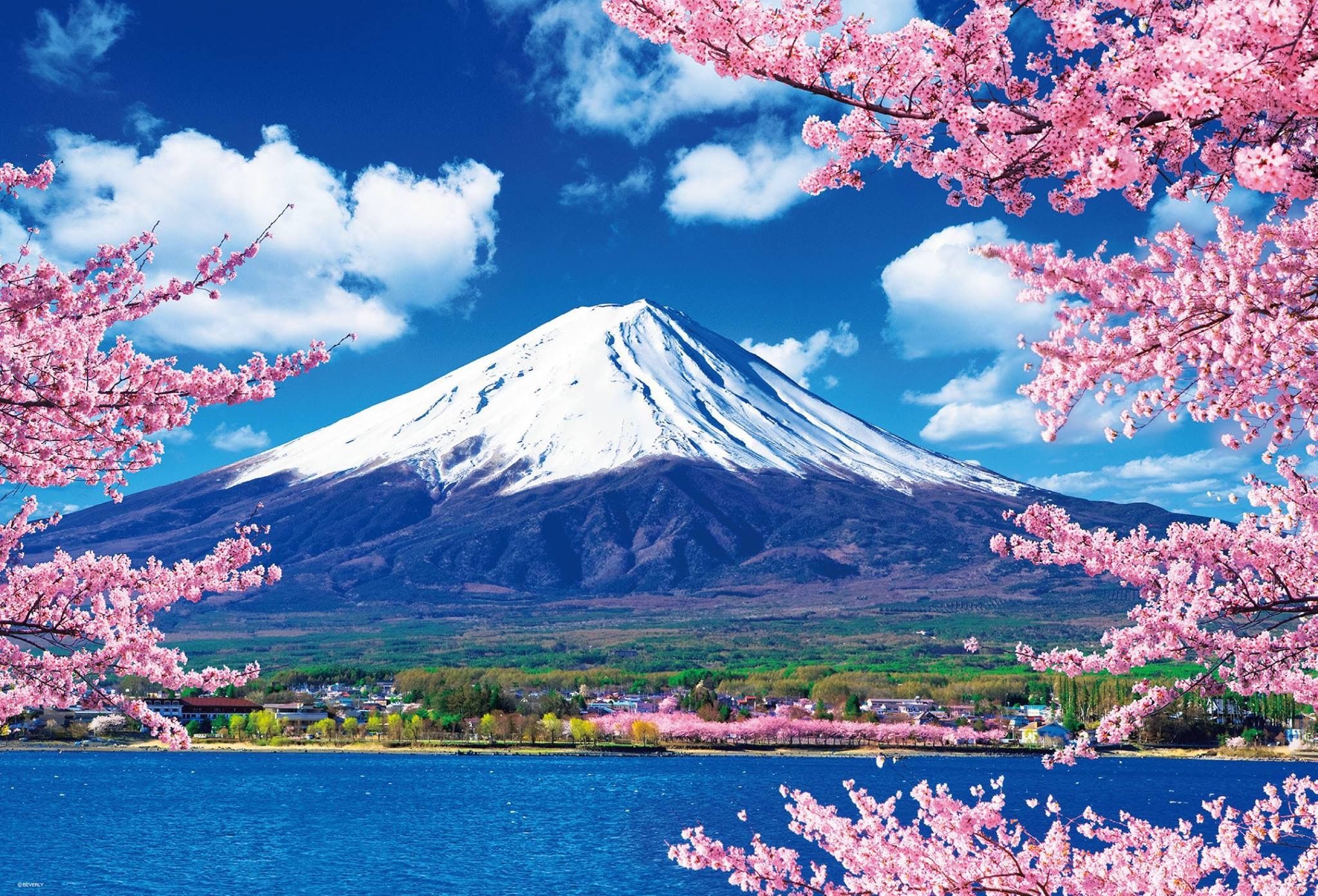 Vue de Tokyo