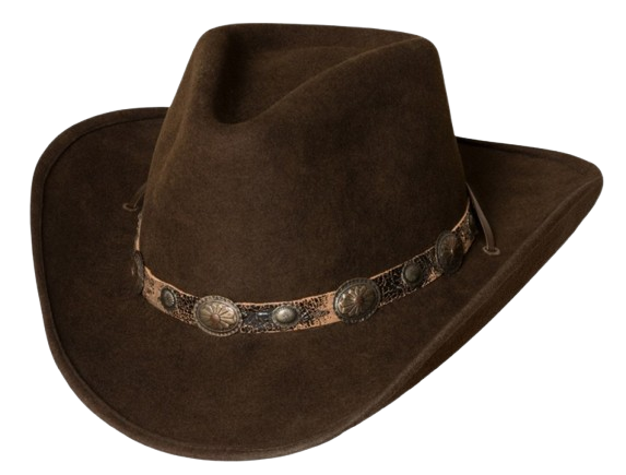 Chapeau de cowboy